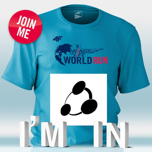 Wings for life World Run